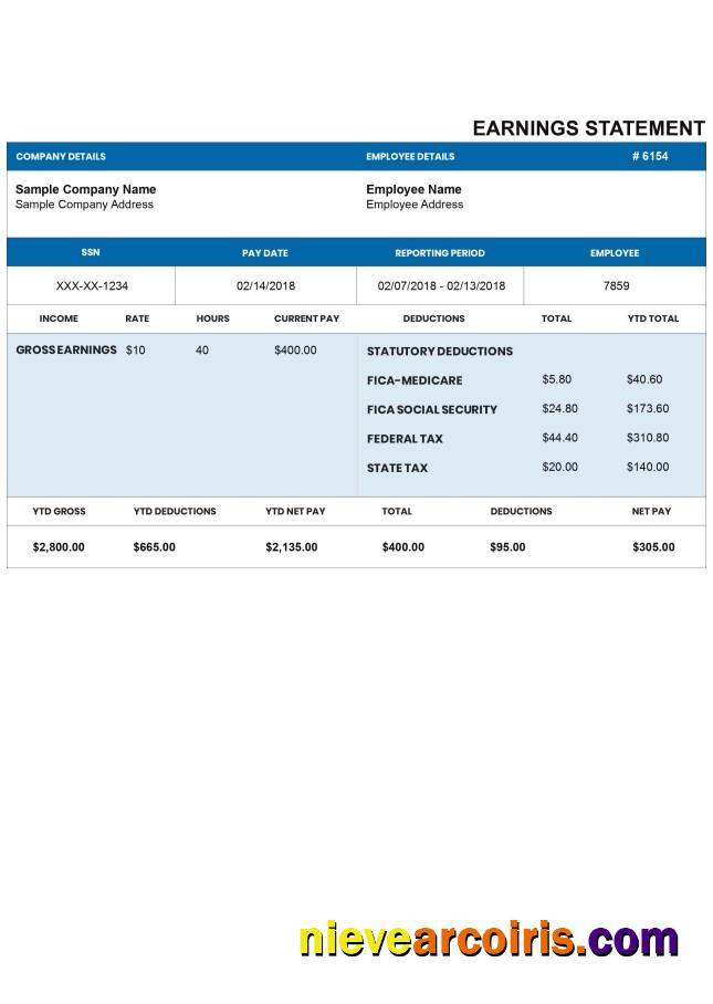 DARKBLUE pay stub
